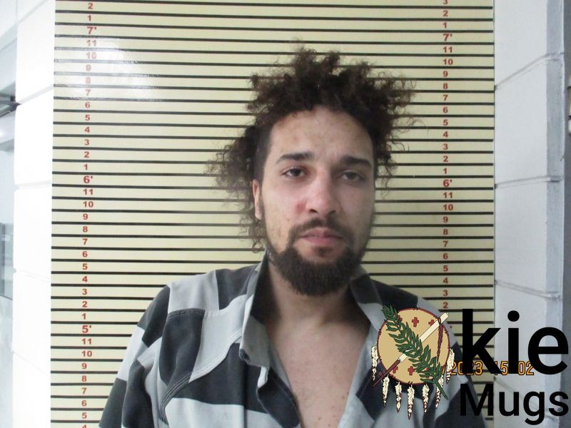 Booking photo of AARON PRUITT