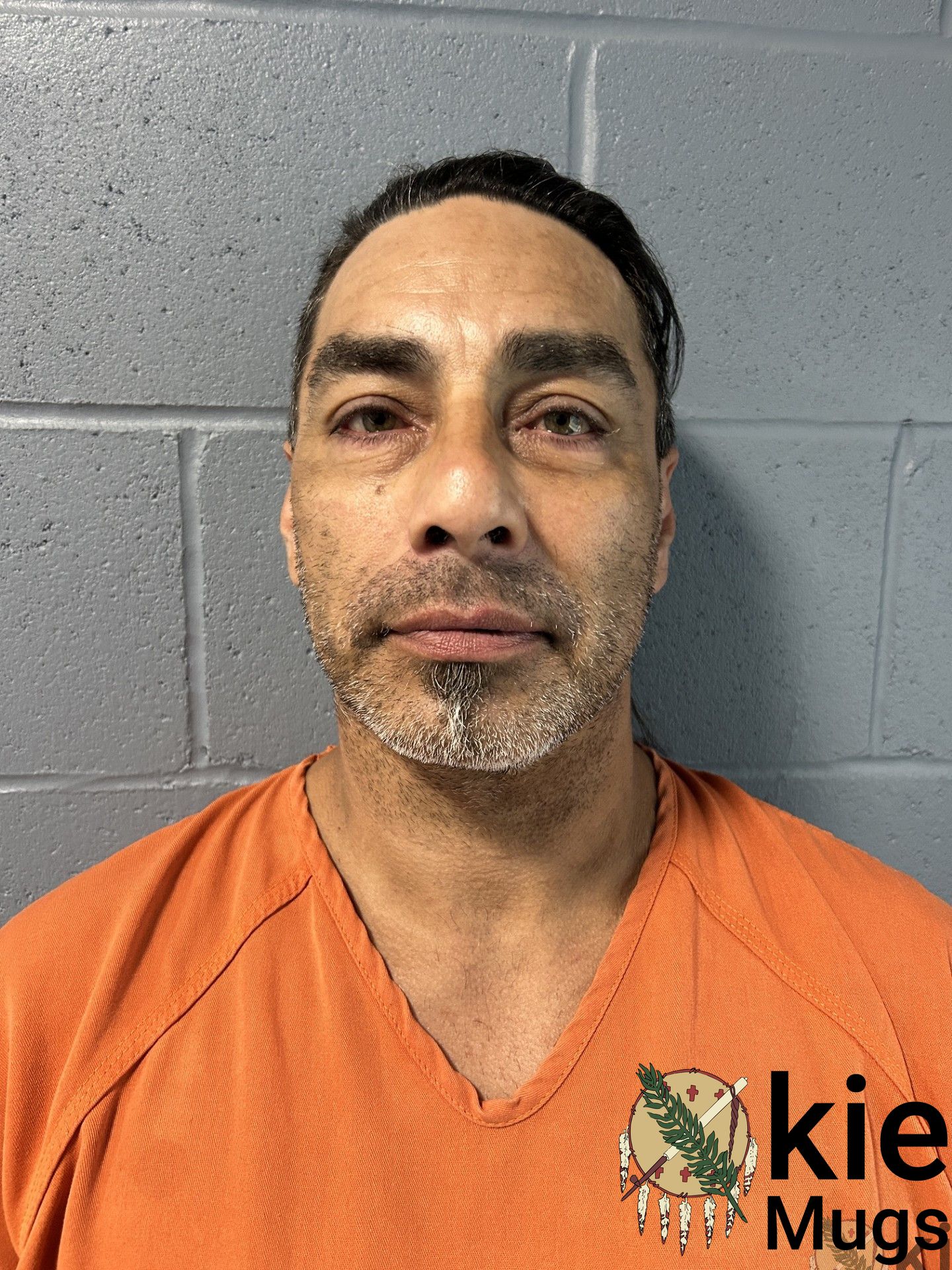 Booking photo of Shawn Johnson