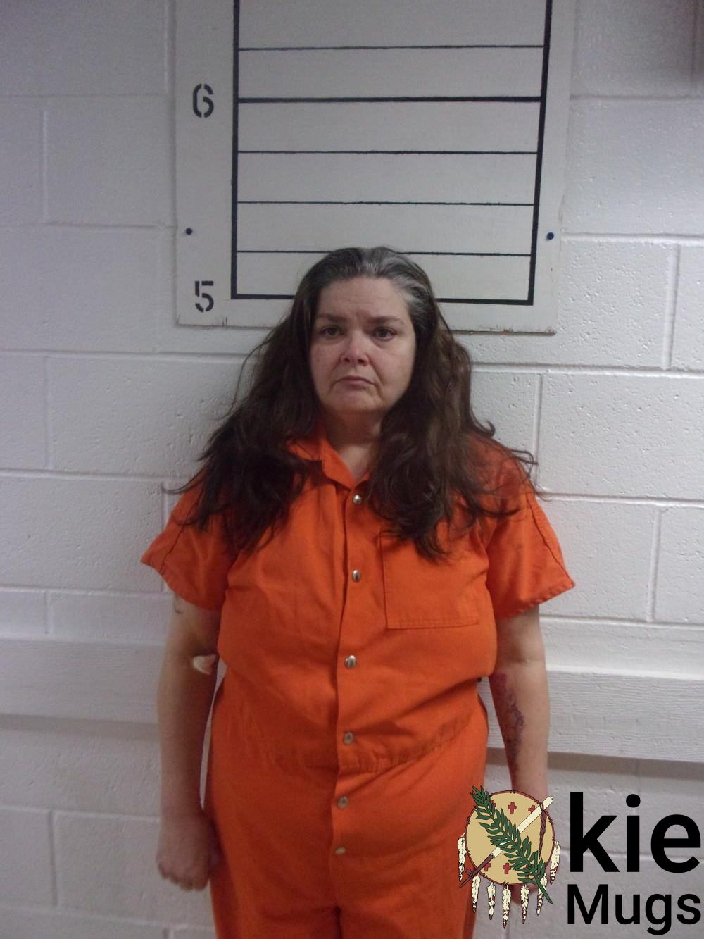 Booking photo of CRYSTAL LAINE HAYES