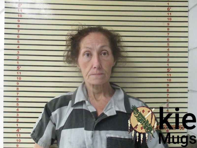 Booking photo of MARY HOWARD
