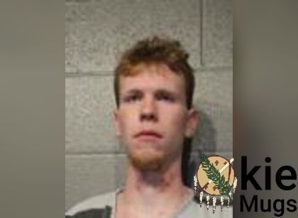 Booking photo of Dalton Lee Ward