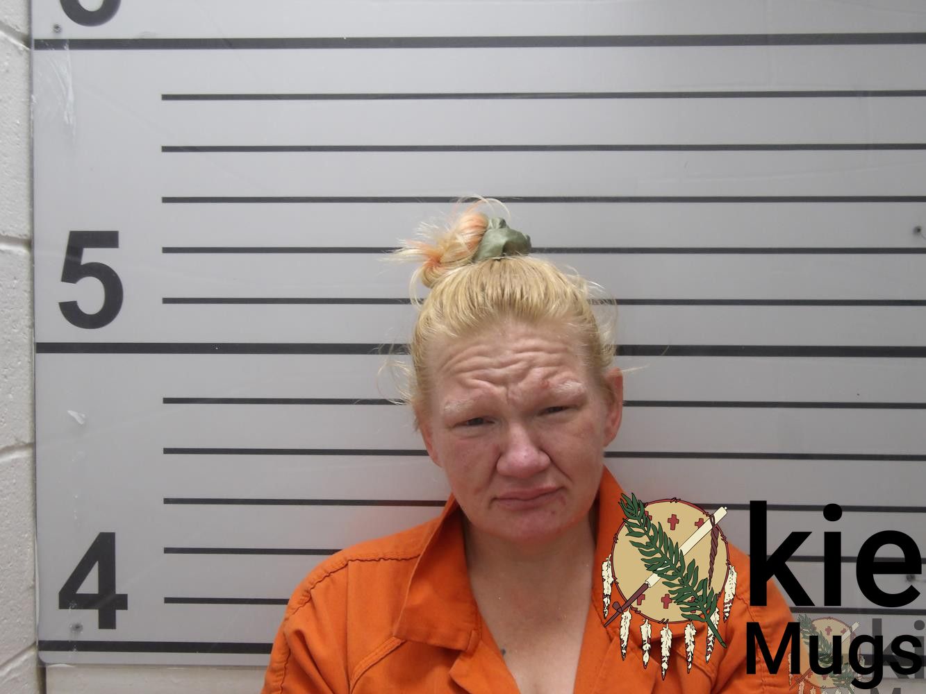 Booking photo of Cathy Faye Tamplen