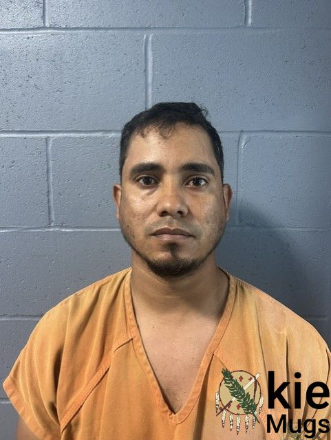 Booking photo of Ramon Giron Licona