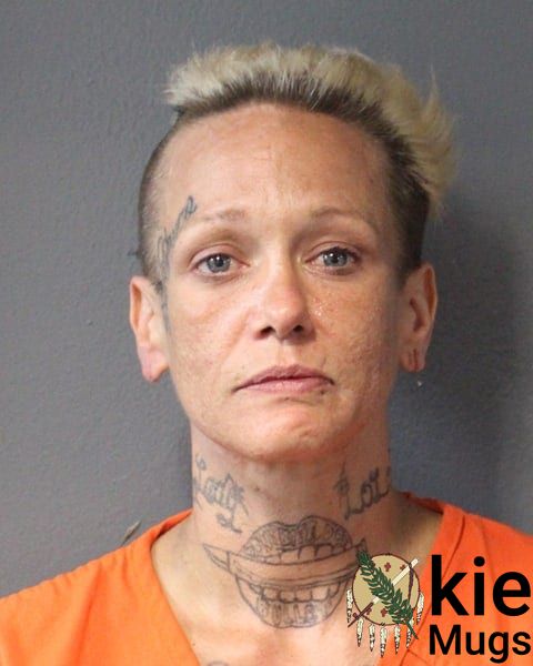 Booking photo of Lindsey Colleen Mccreight