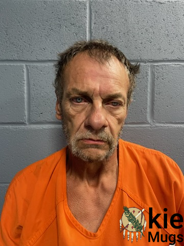 Booking photo of CAREY LOWTHER