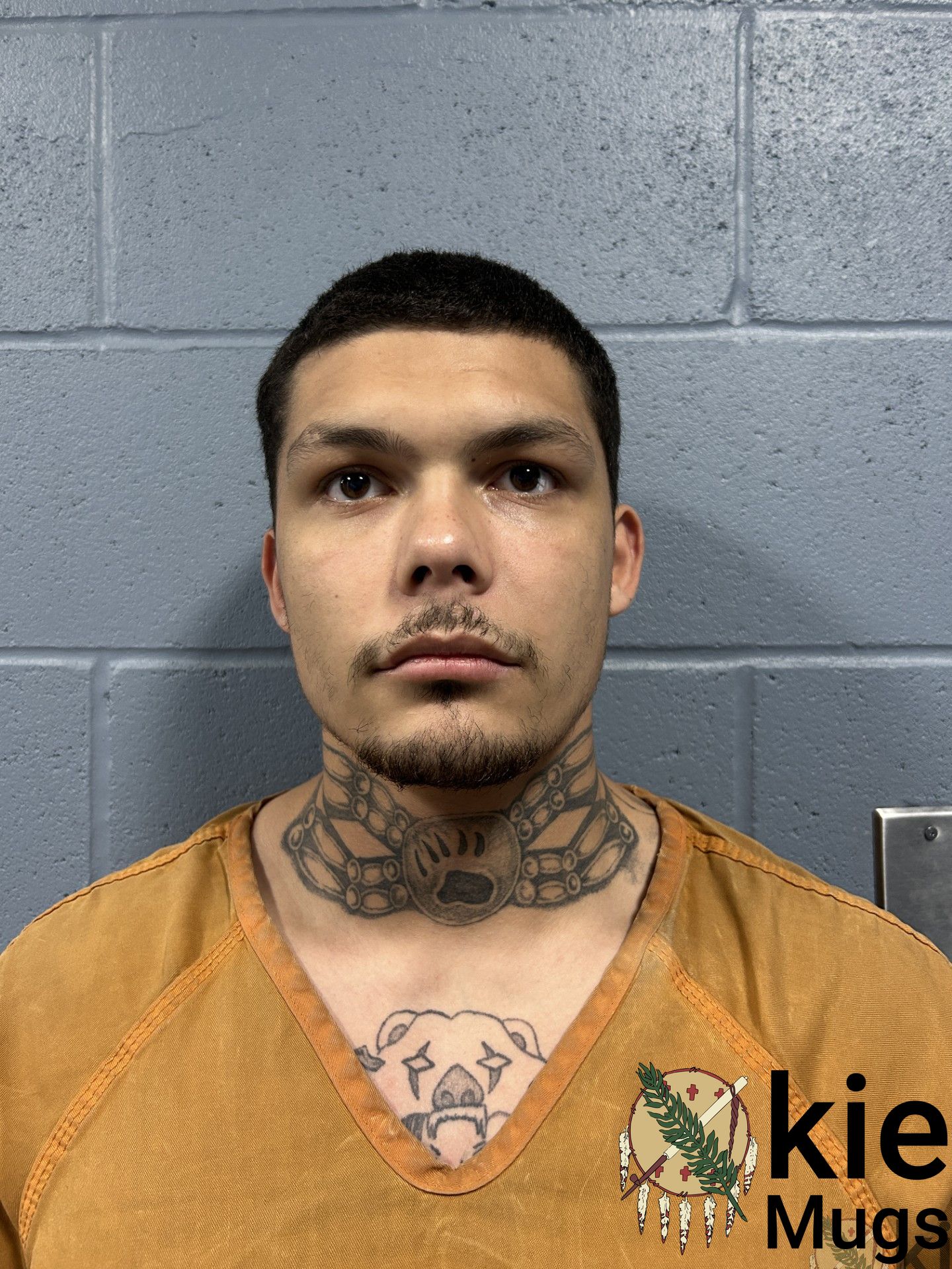 Booking photo of MARIO BRYAN