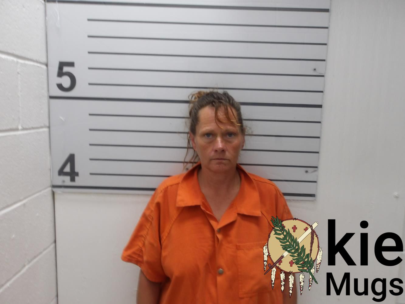 Booking photo of Julie Ballinger