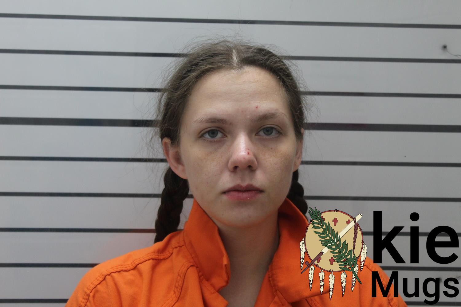 Booking photo of ABIGAIL ELISE (CHEROKEE) MEACHAM