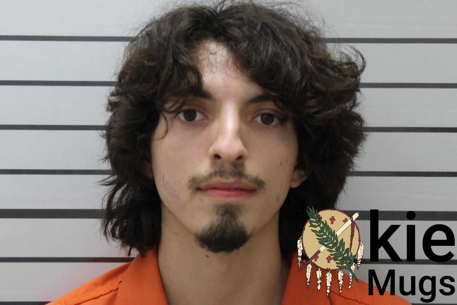 Booking photo of ABRAHAM FRANKLIN-JAMES ELLISON