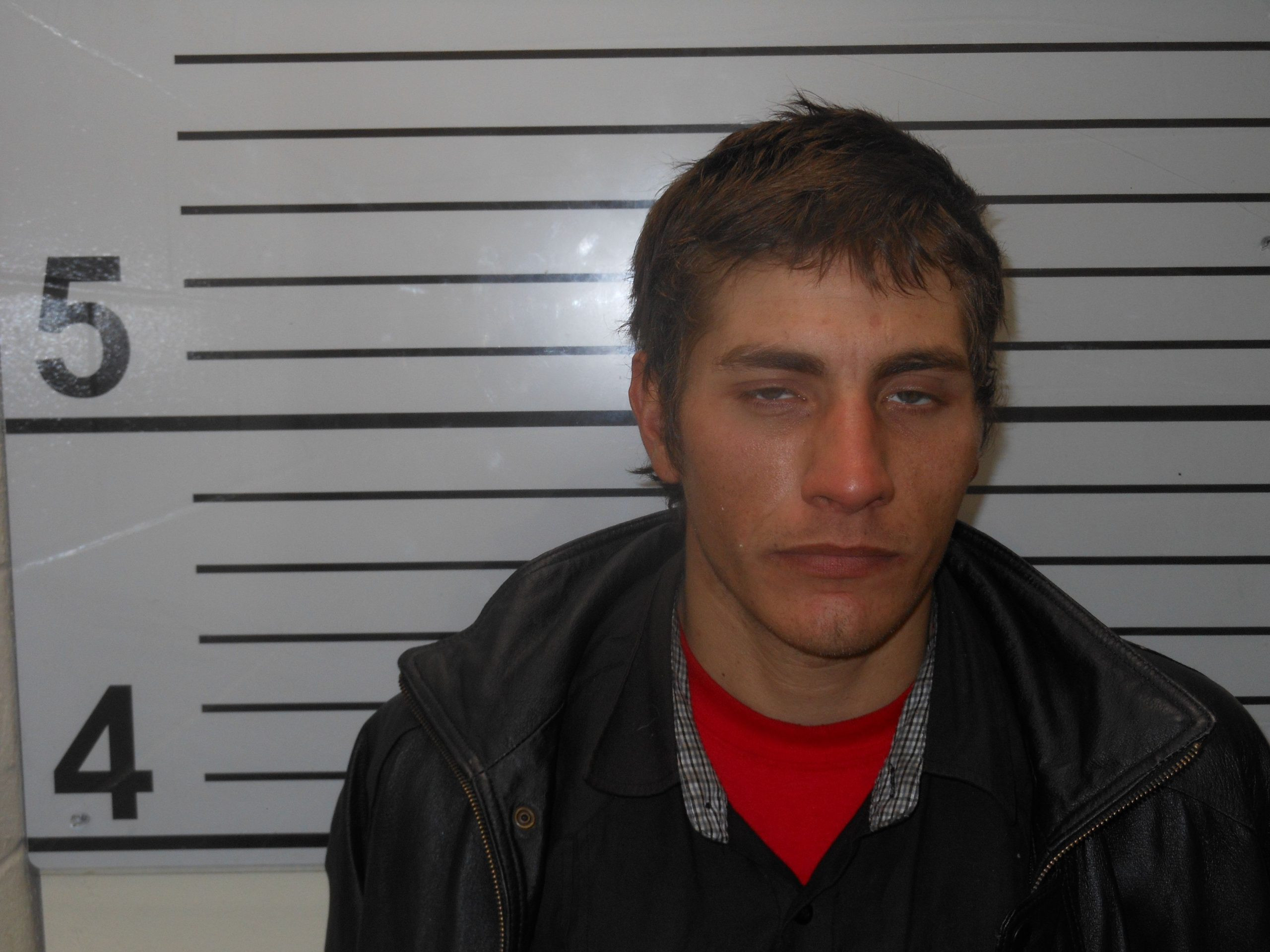 Booking photo of ALAN CHARLES DEMOTT
