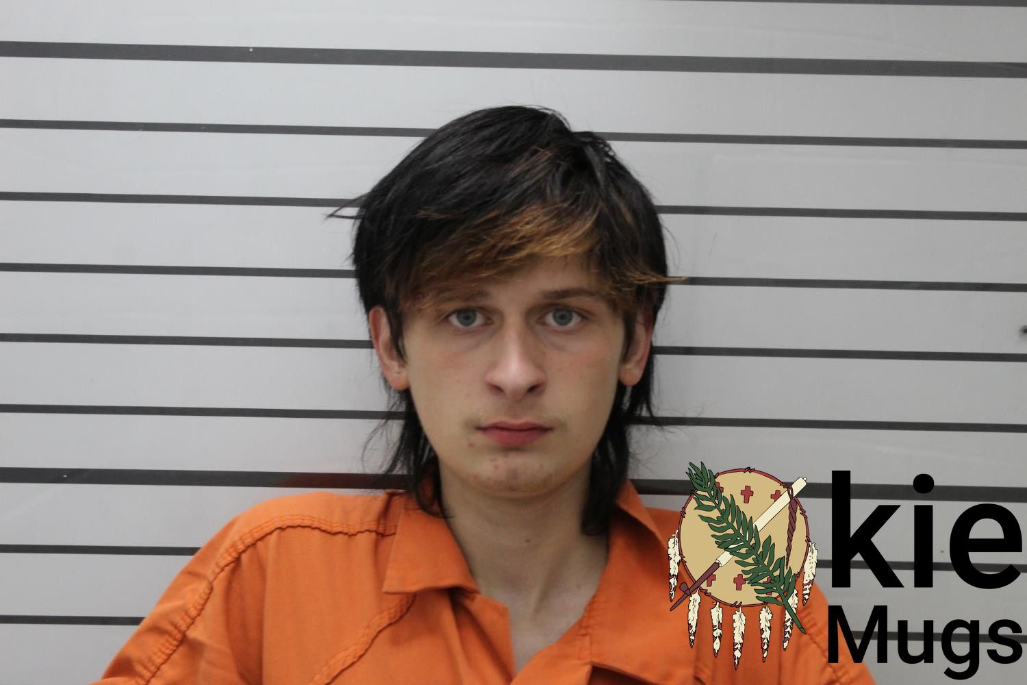 Booking photo of ALAN LANE DAVIS