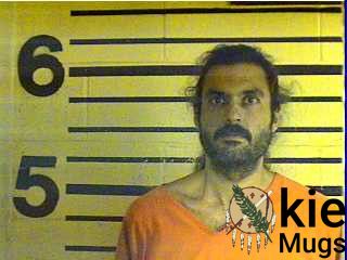 Booking photo of ALAN WRAY PERRY