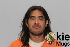 Booking photo of ALBERT WADE IRONHEART-PARIS
