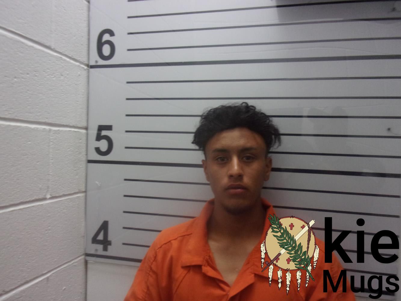 Booking photo of ALVARADO WILLIAMS