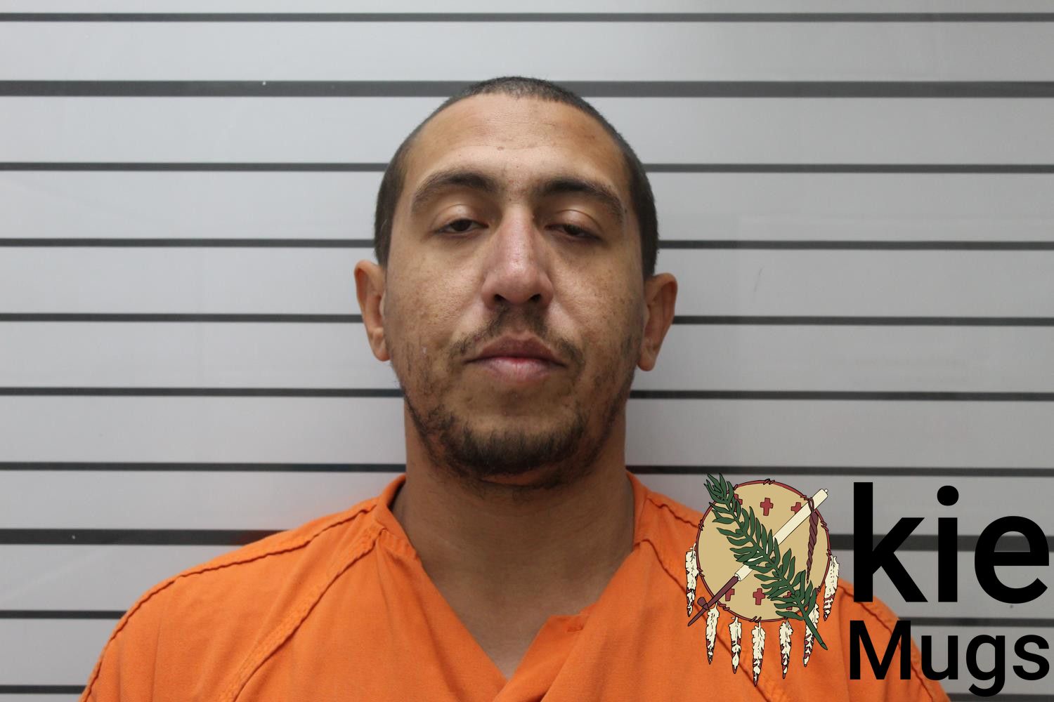 Booking photo of ALVIN HENRY HARRIS