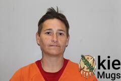 Booking photo of AMANDA DAWN WOOD
