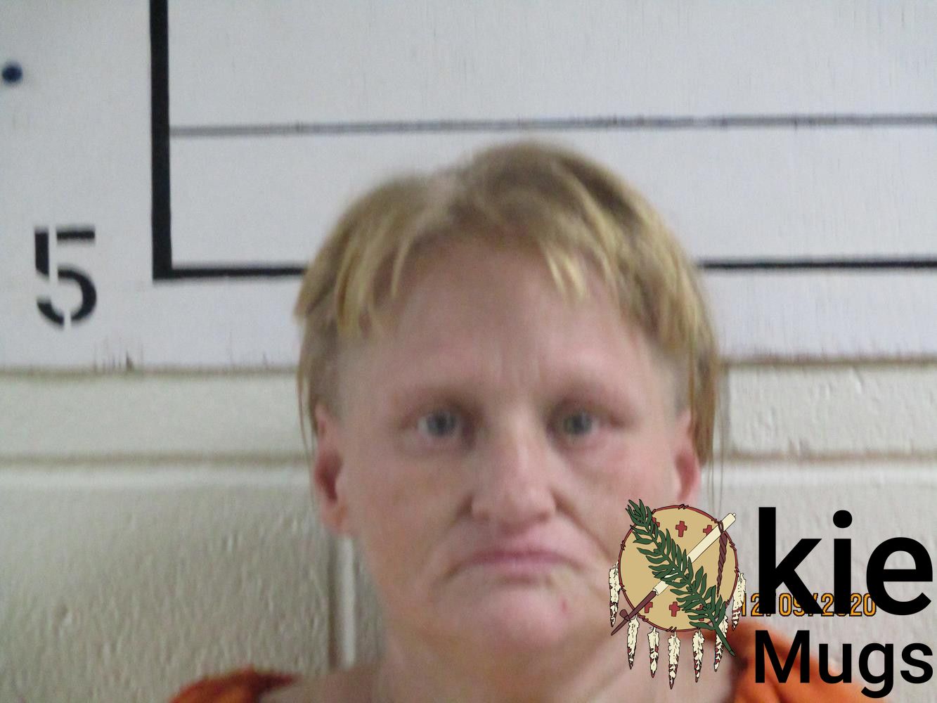 Booking photo of AMANDA ELAINE WIGGS
