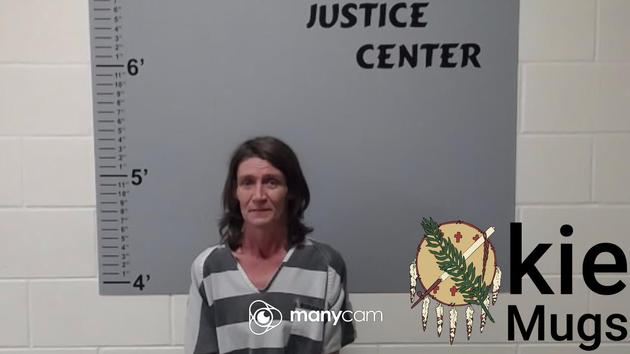 Booking photo of AMANDA JEAN SANDERS