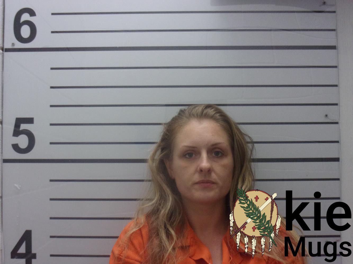 Booking photo of AMBER FISHER