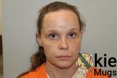 Booking photo of AMIE MICHELLE HOLMES