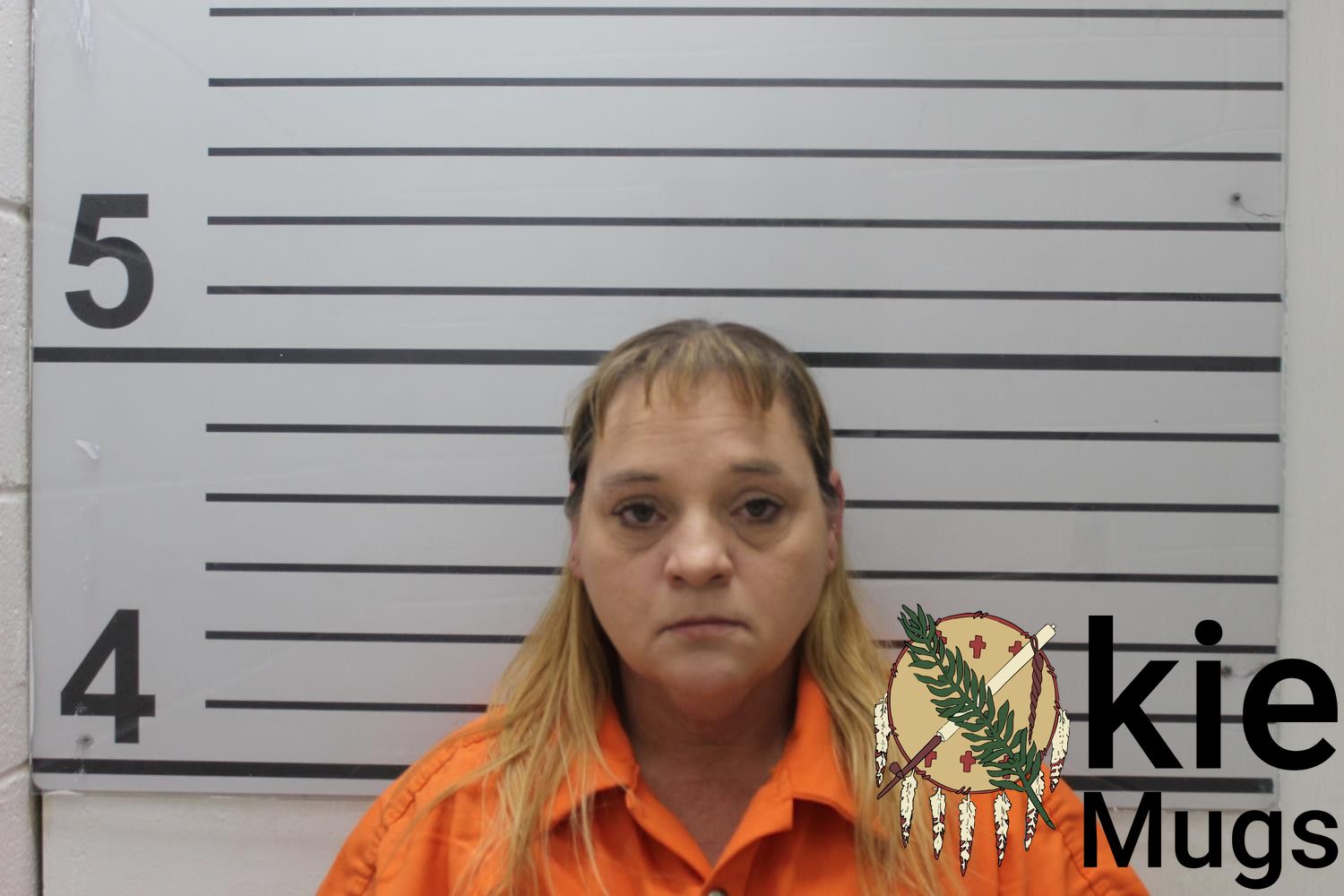 Booking photo of AMY ELAINE WILSON