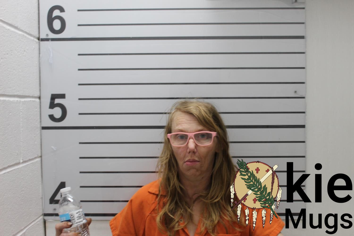 Booking photo of AMY LYNNE WISEMAN