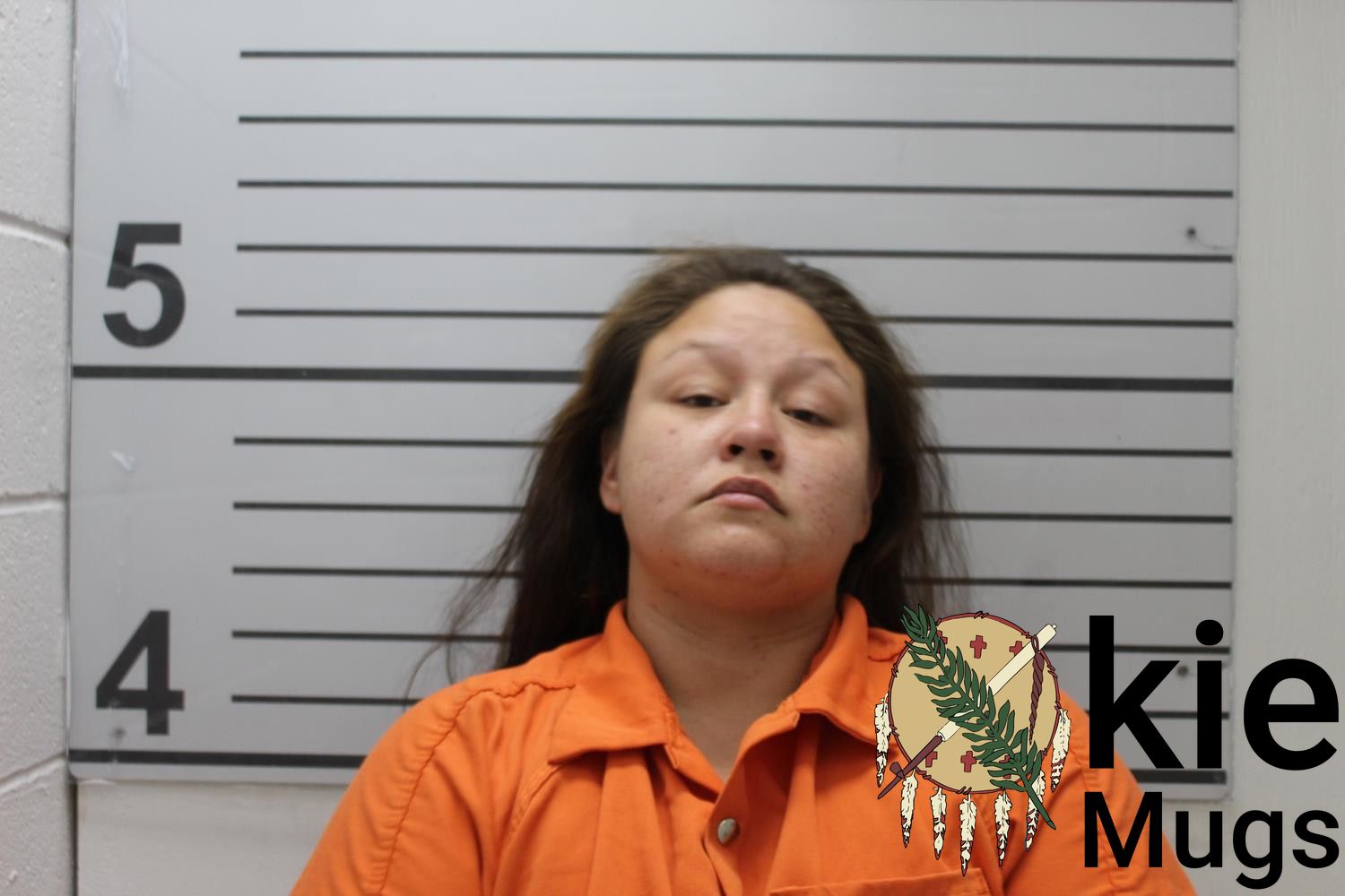 Booking photo of ANDGELISE DELAINE JONES