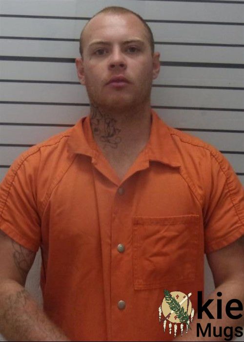 Booking photo of ANDRE CORDELL WILLIAMS