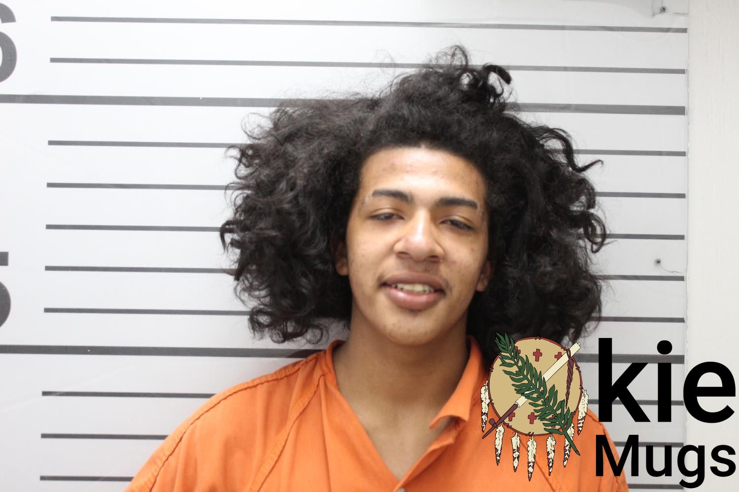 Booking photo of ANDRE DESHAWN LOGAN