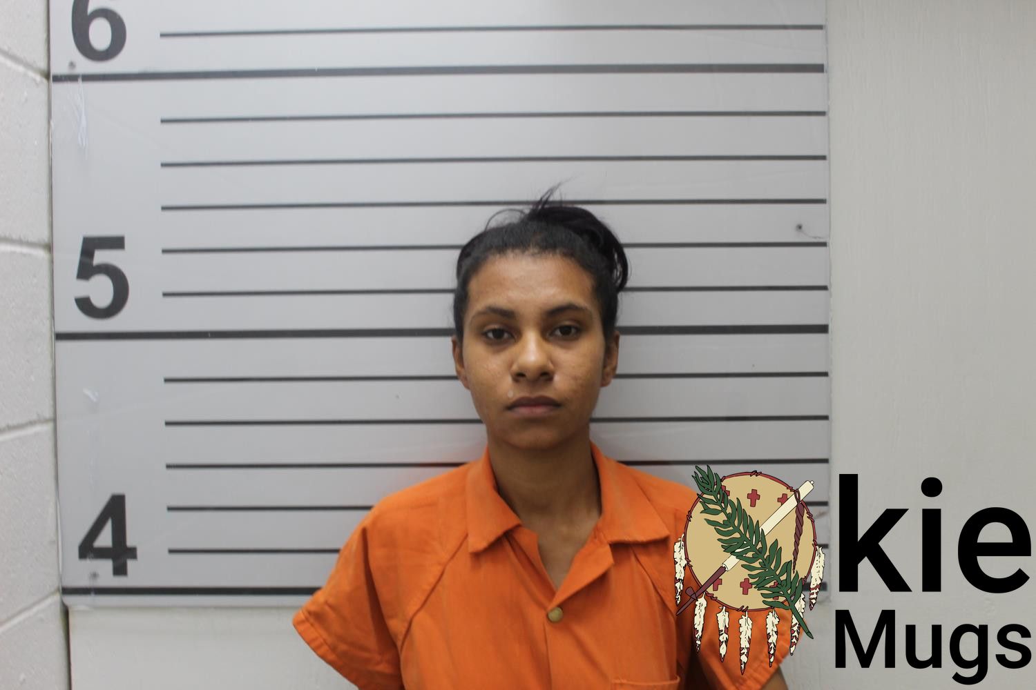 Booking photo of ANDREA LEETRICE IVY
