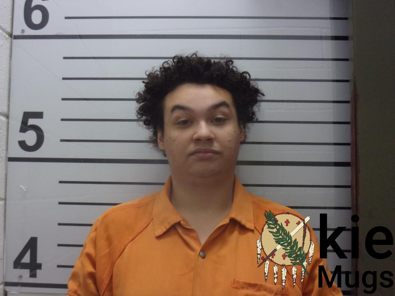 Booking photo of ANDREW NAILS