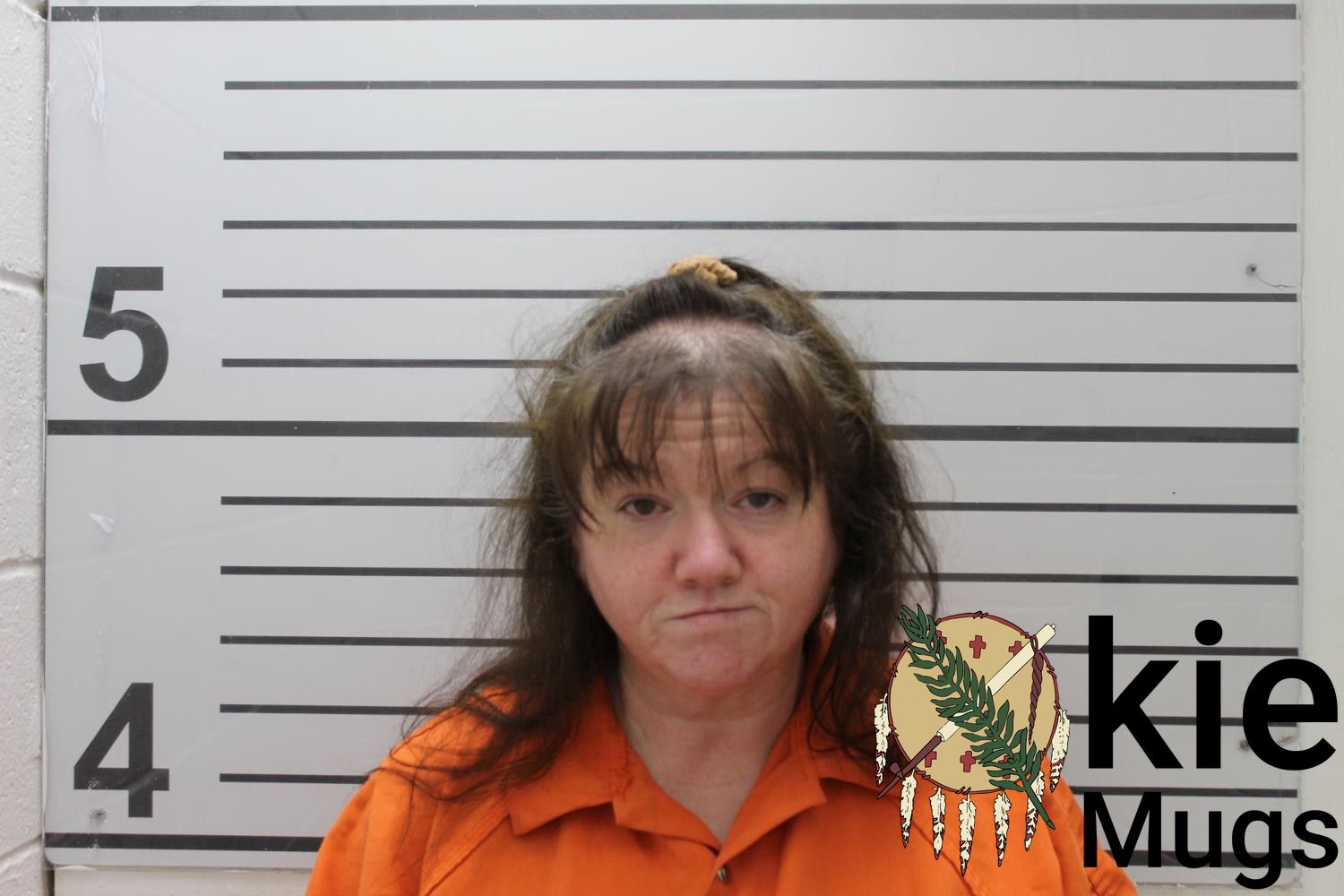 Booking photo of ANGELA D MEGGYES