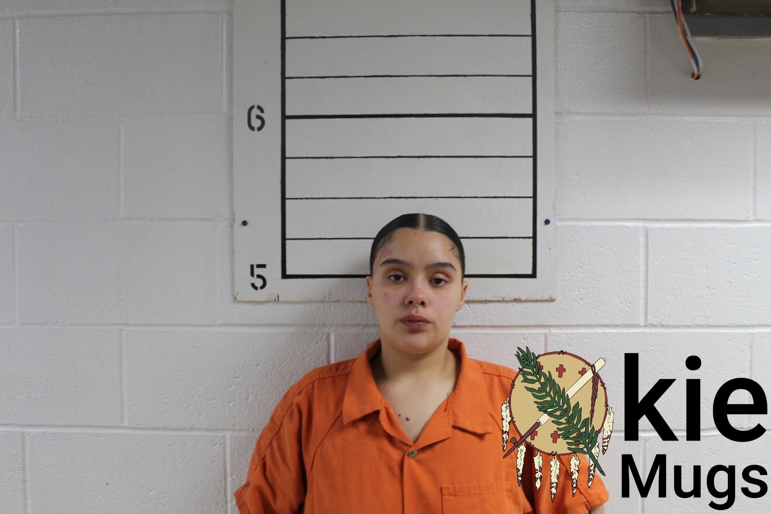Booking photo of ANGELICA M SOSA