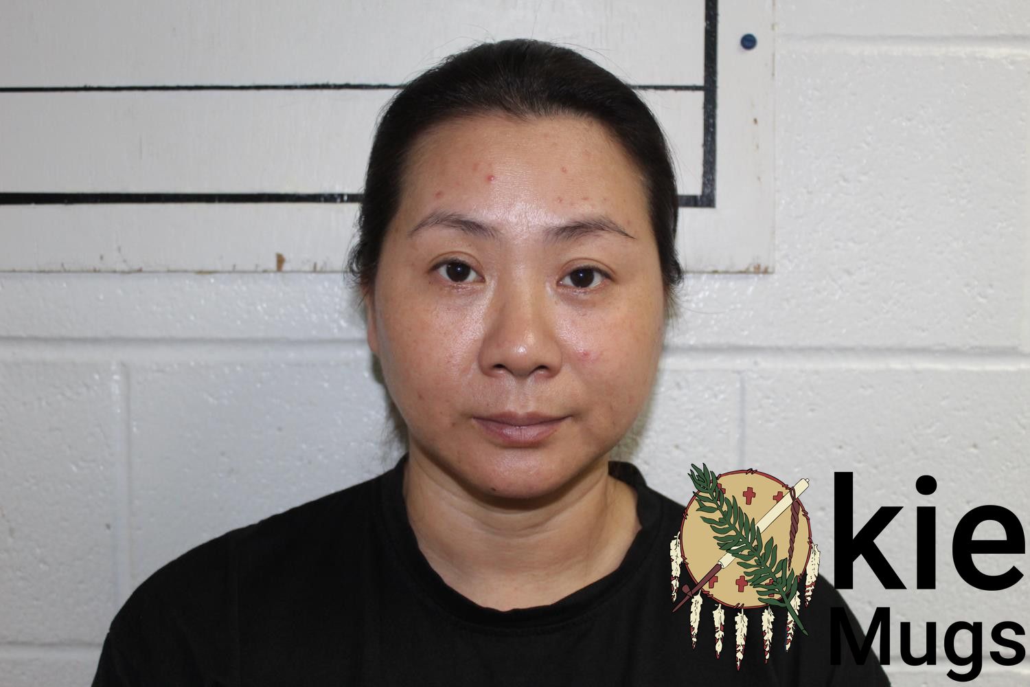 Booking photo of ANITA JUN HE