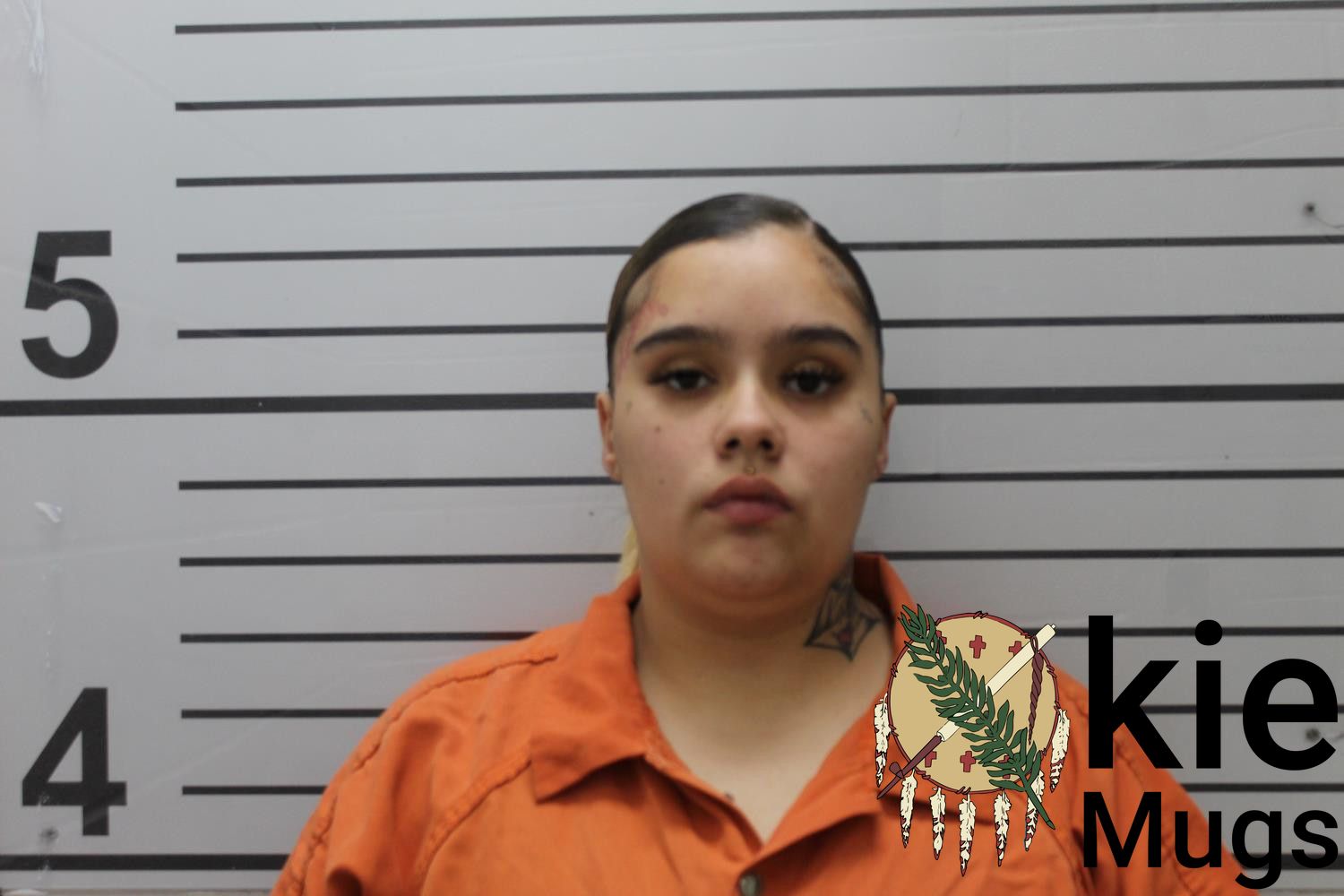 Booking photo of ANJELICA M SOSA