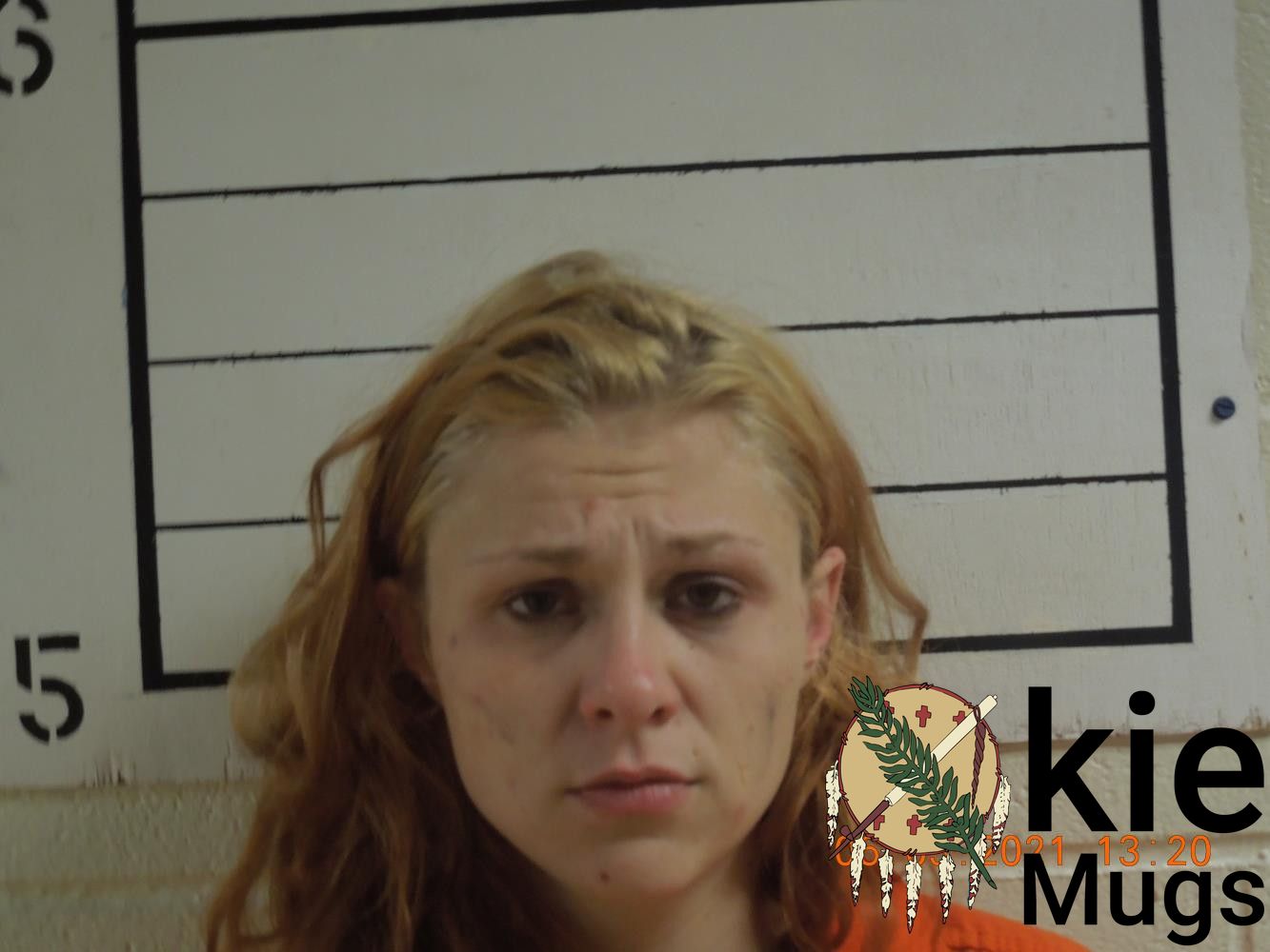 Booking photo of ANNA JENKINS