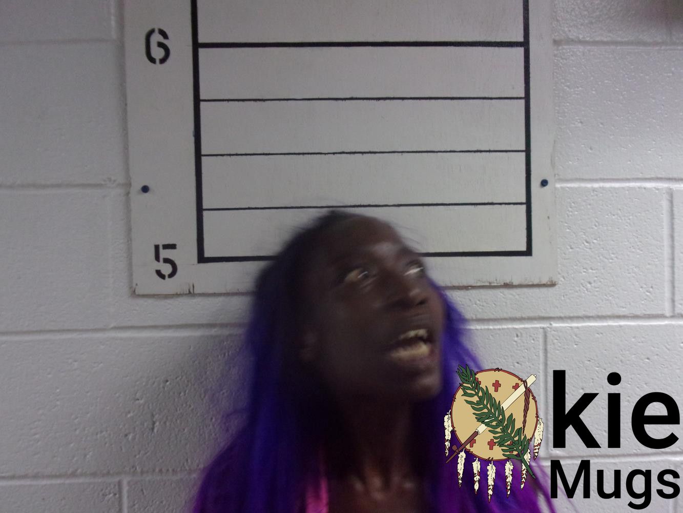 Booking photo of ANNA MARIE HARRIS