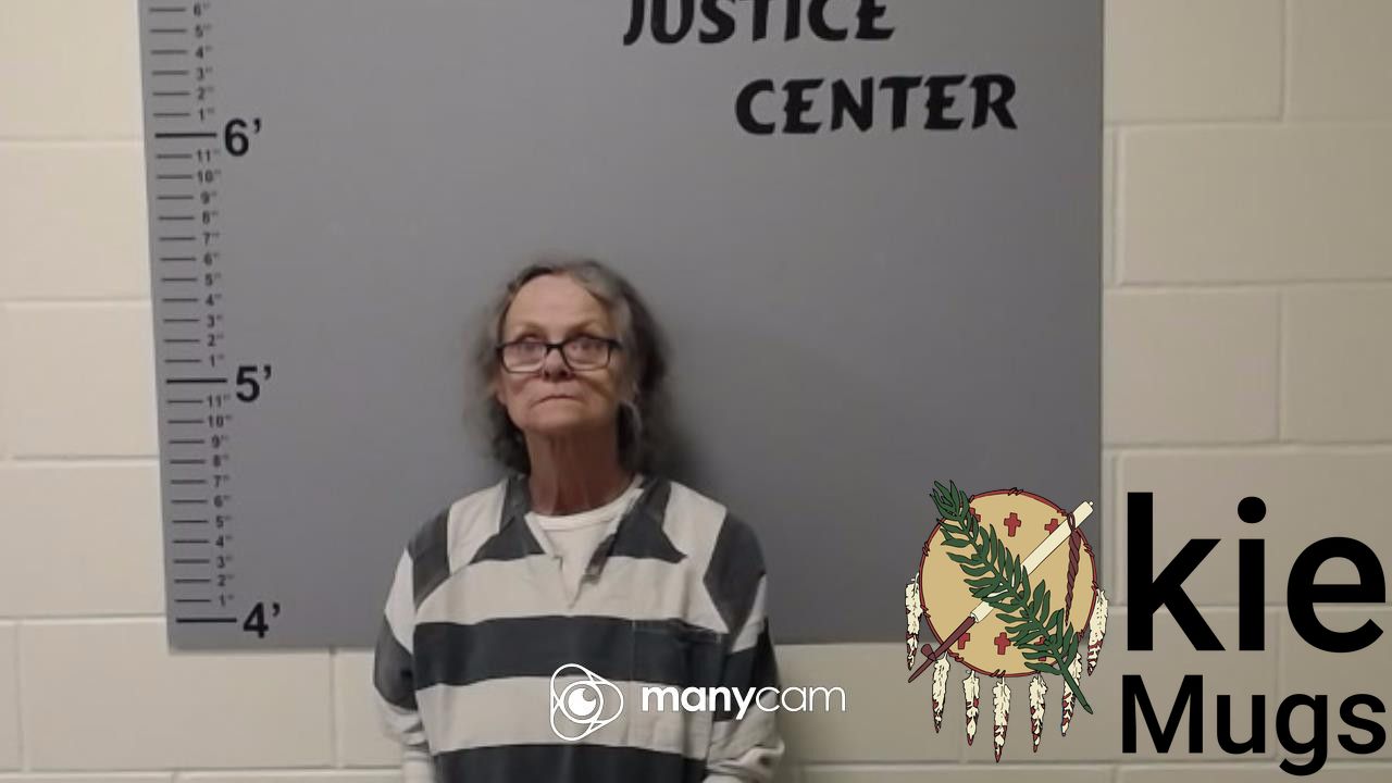 Booking photo of ANNETTE MARIE LUNDY
