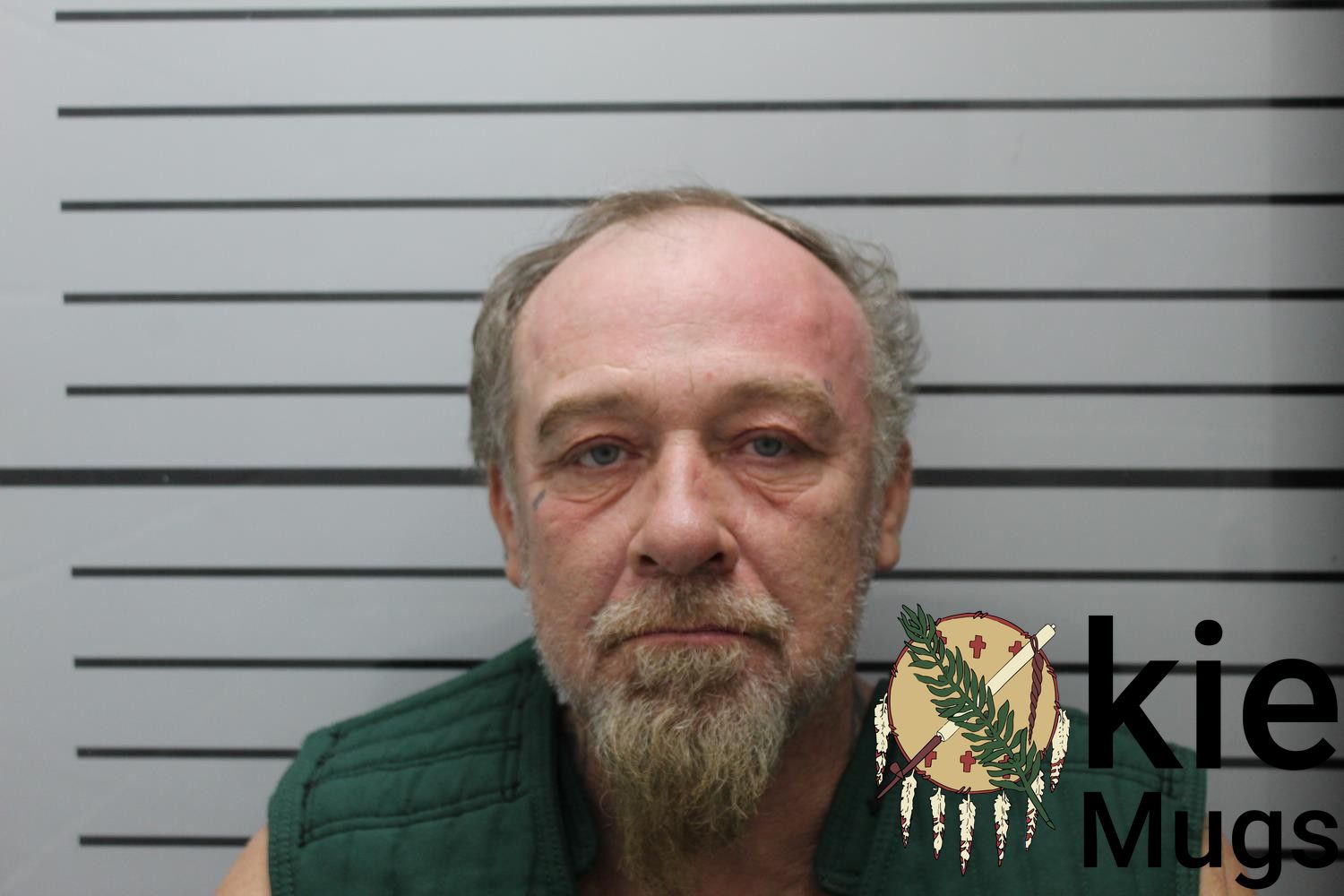 Booking photo of ANTHONY WAYNE OWL