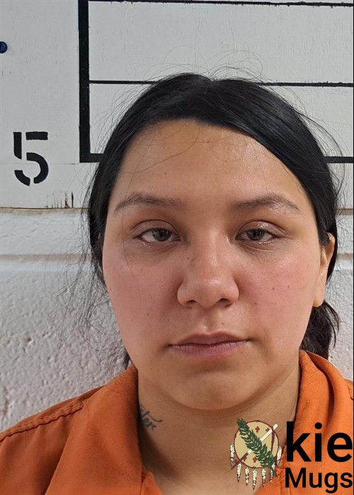 Booking photo of ARIANA MARIE (CREEK) STEWART
