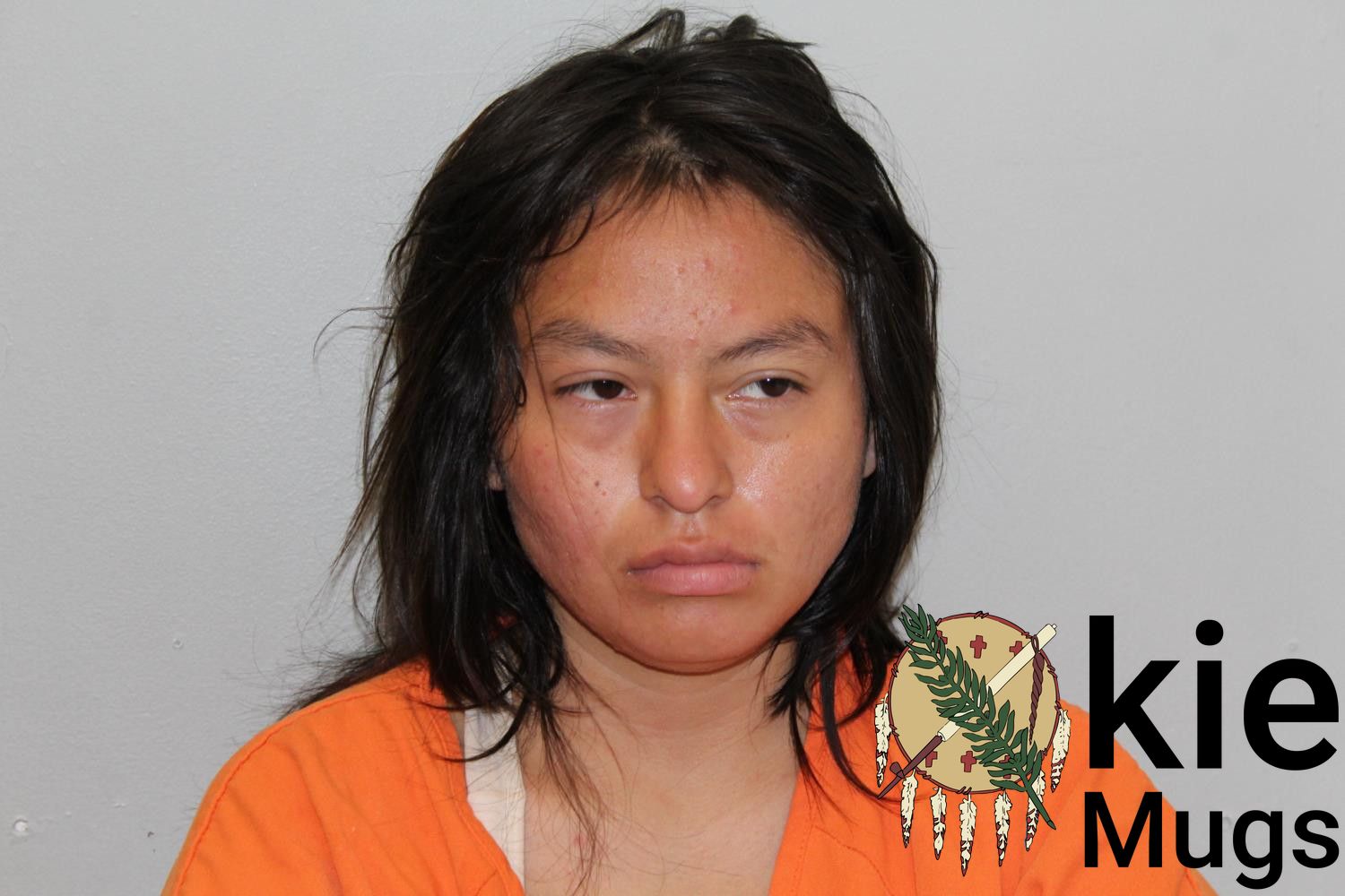 Booking photo of ARIANNA MEDINA