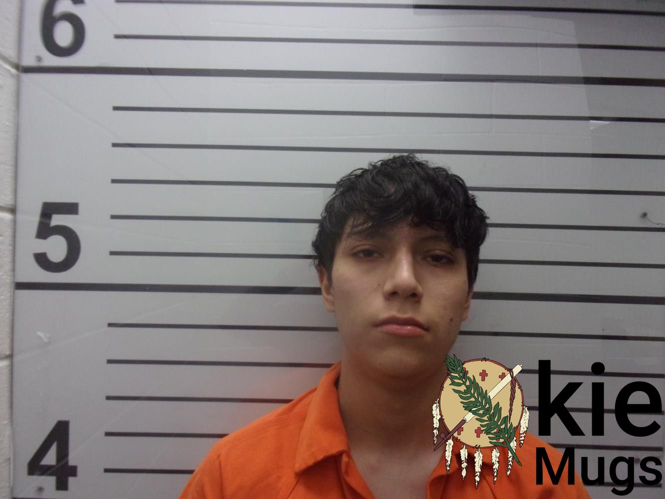 Booking photo of ARMANDO HERRERA