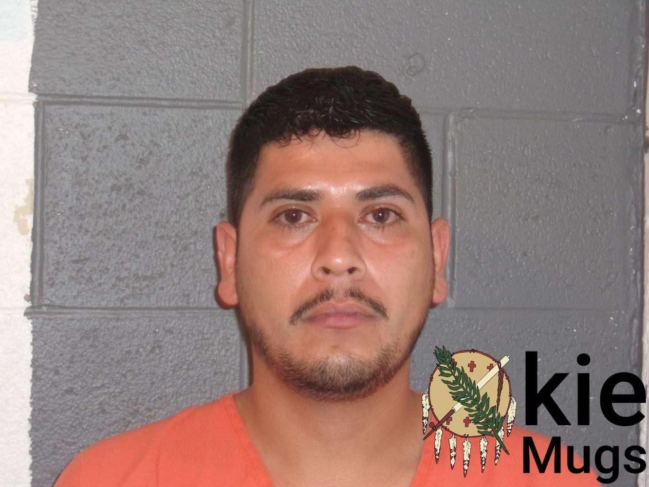Booking photo of ARNOLDO HERRERA TAPIA