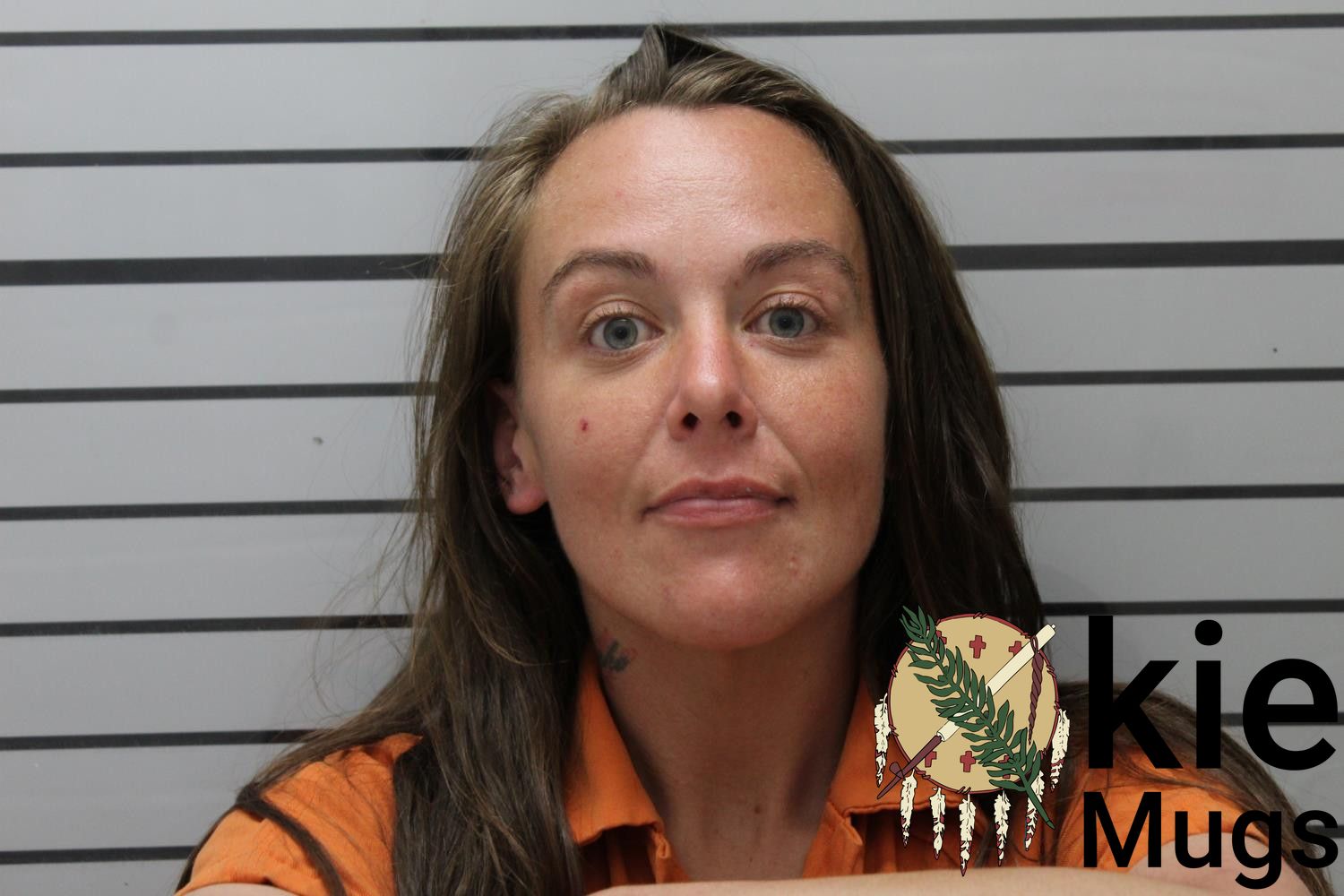 Booking photo of ASHLEY BOSTAPH
