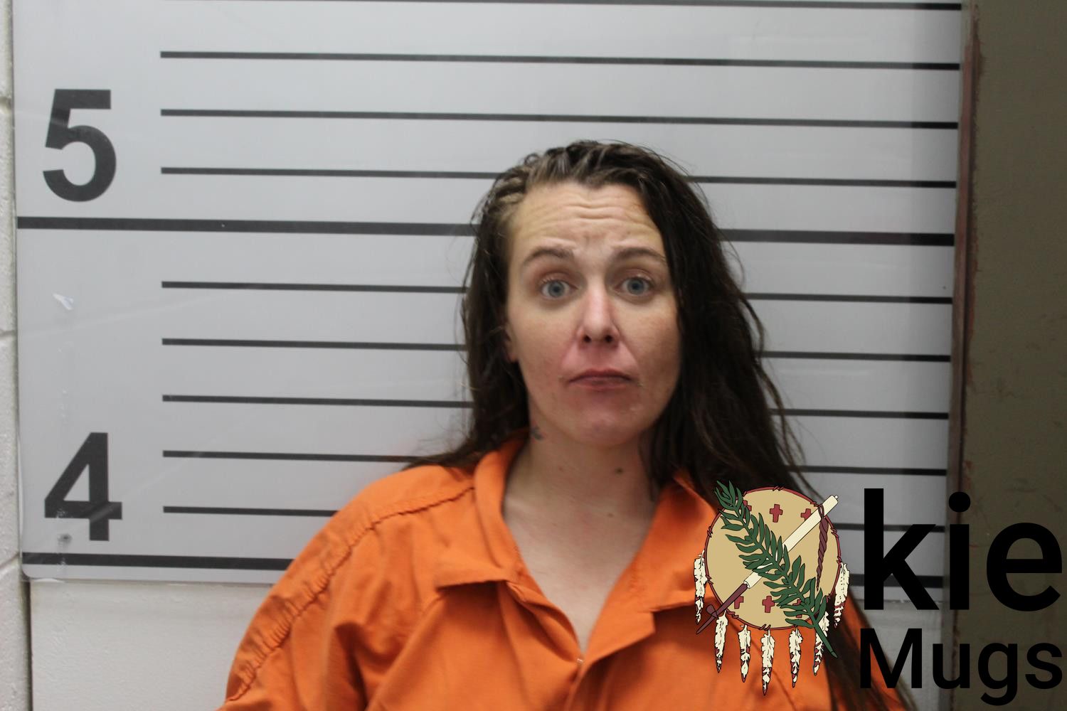 Booking photo of ASHLEY BOSTAPH