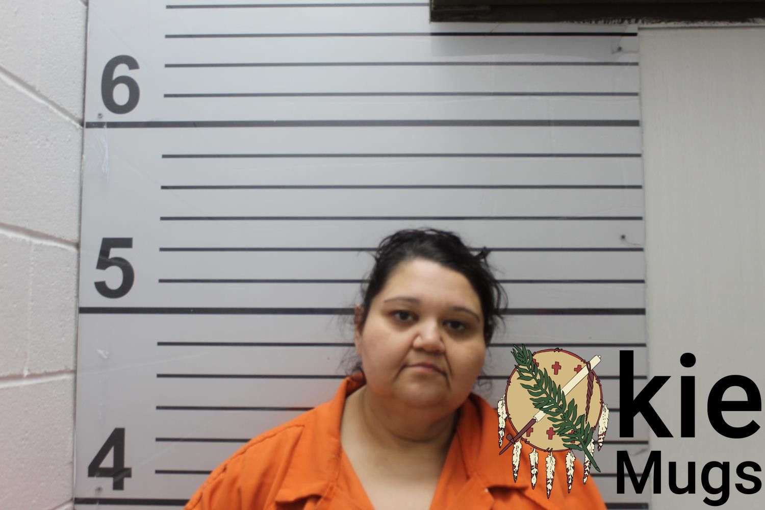 Booking photo of ASHLEY N. VILLALOBOS