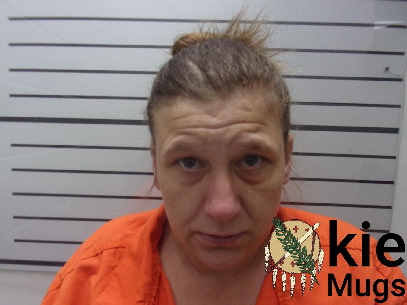 Booking photo of AUDREY MARIE WILSON