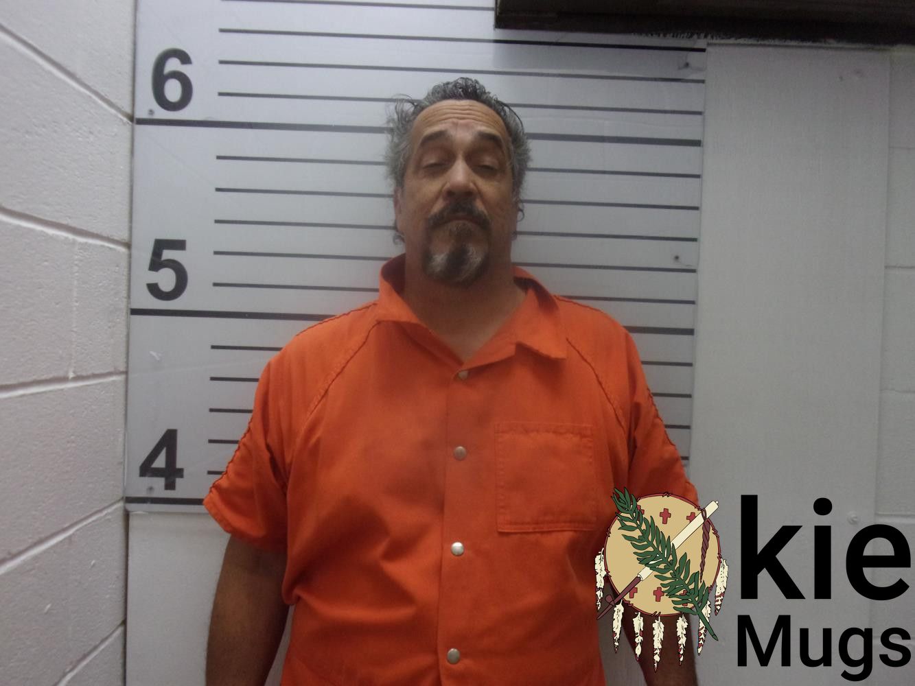 Booking photo of AUNDREA HARZELL JONES