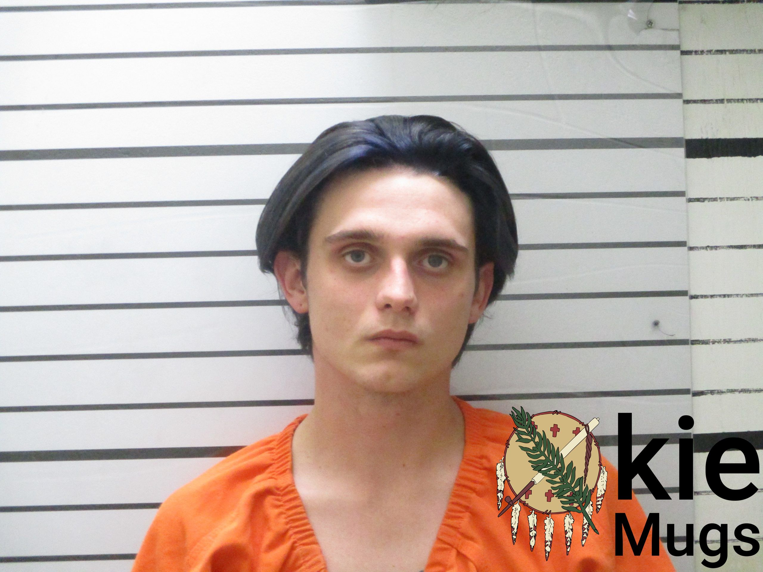 Booking photo of AUSTIN LEE SNOW