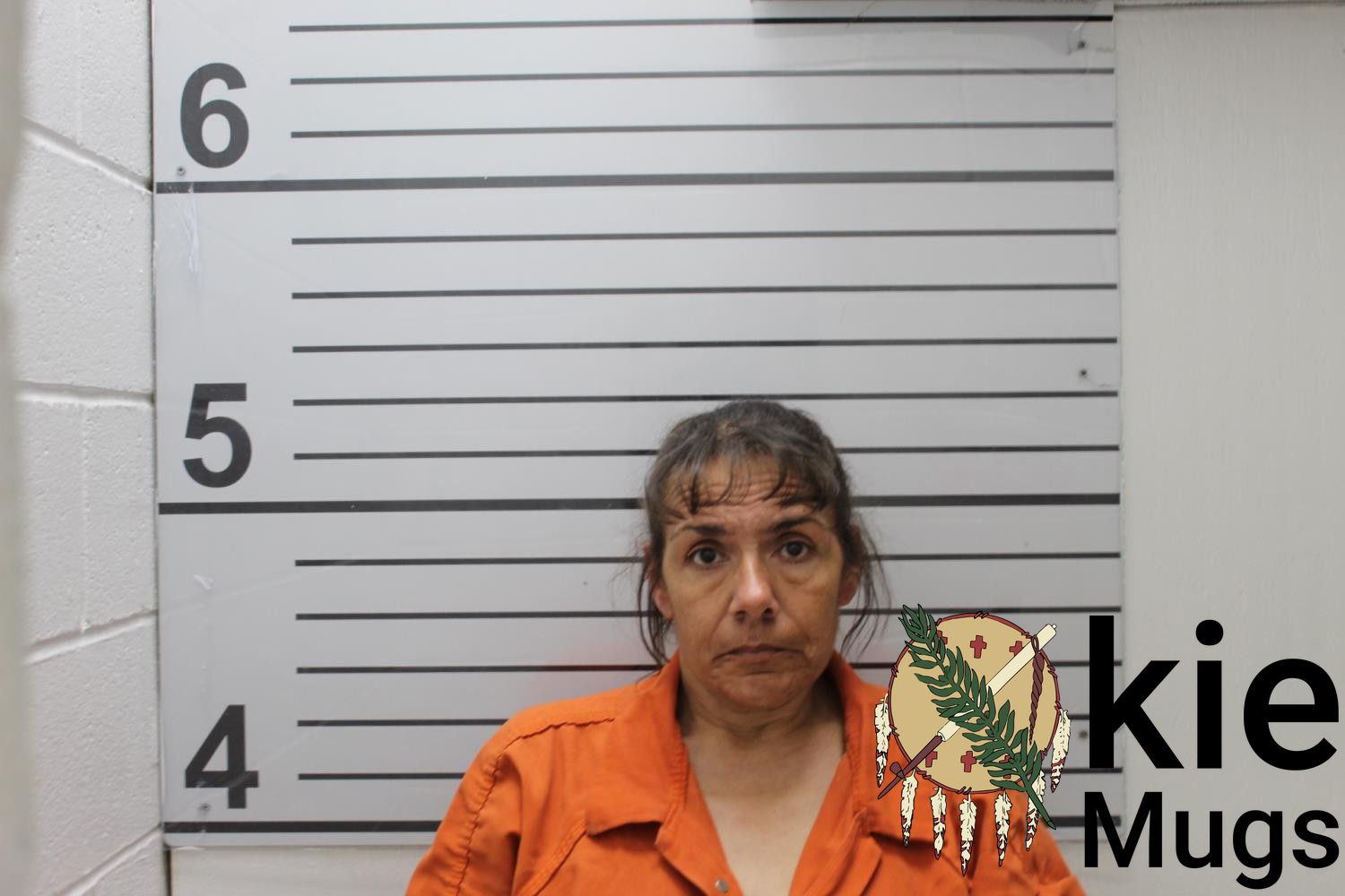 Booking photo of BEATRICE DENISE LINKENHOKER